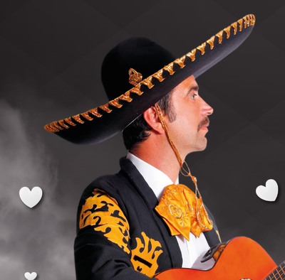 Mariachi Legendario photo 1